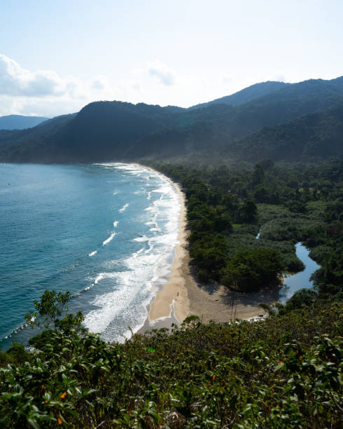 Sono beach view from above, blue sea in the image left and dense forest in the right with small river coming from it A backpackers destination in Paraty, near to Rio de Janeiro. This Sono beach view from above from a 1 hour trail. paraty brazil stock pictures, royalty-free photos & images