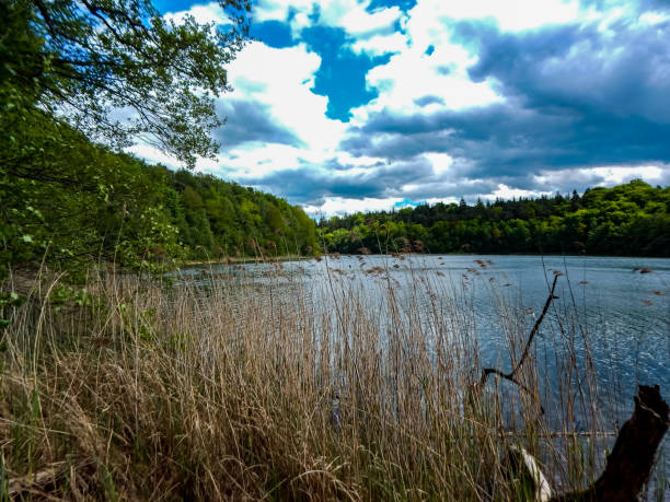 istock Beautiful nature in northern Germany 1325336957
