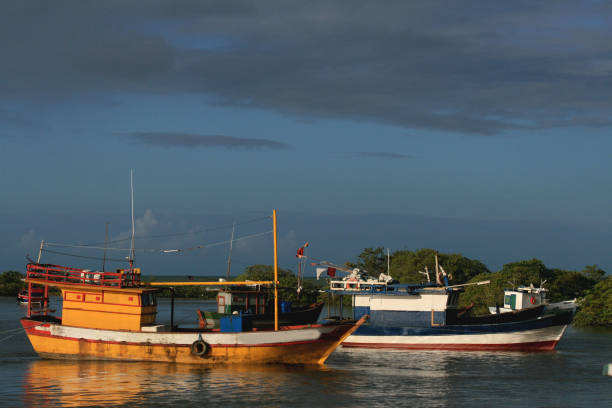 fischerboote in südbahia - fishermen harbor stock-fotos und bilder