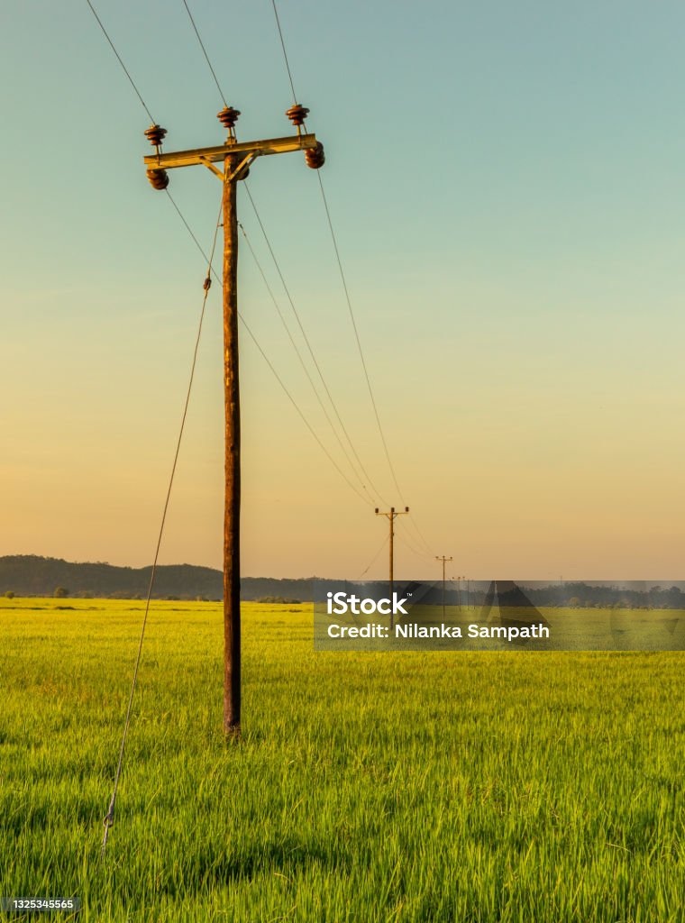 png-wooden-electric-pole-collage-free-png-rawpixel