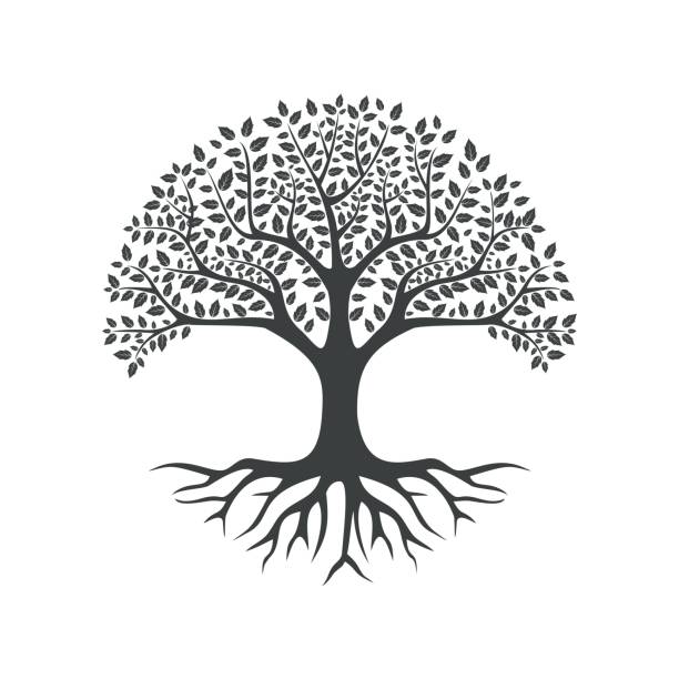 illustrations, cliparts, dessins animés et icônes de arbre noir vectoriel de l’icône en direct sur fond blanc - arbre