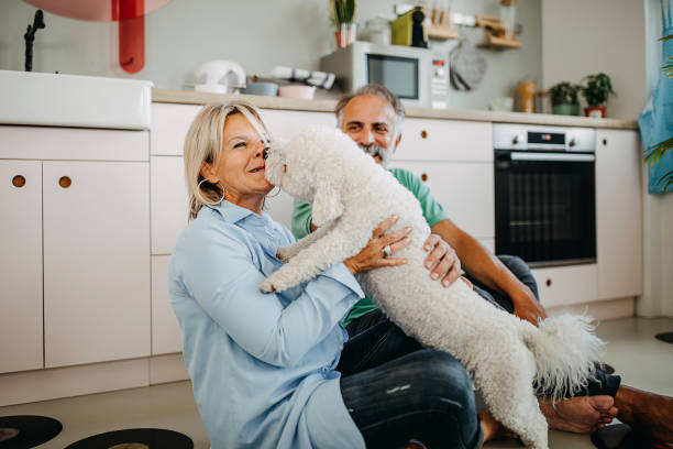 istock Senior man and woman playing with dog 1325352713