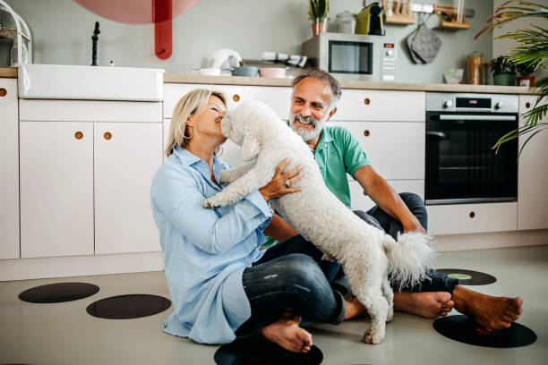istock Senior man and woman playing with dog 1325352750