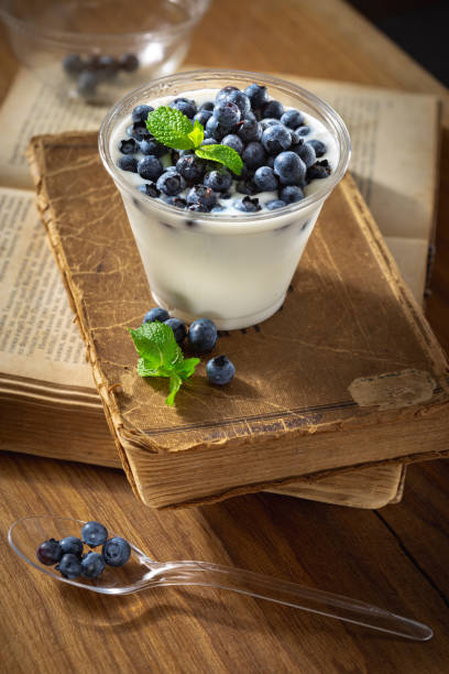 Natural yogurt with blueberries in plastic bowl