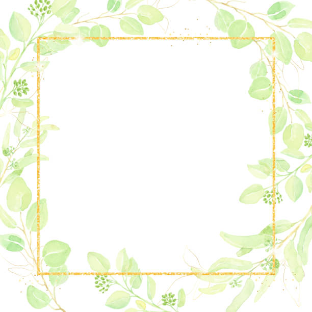 istock watercolor hand drawn seeded eucalyptus leaf with gold glitter frame square banner background 1325356680