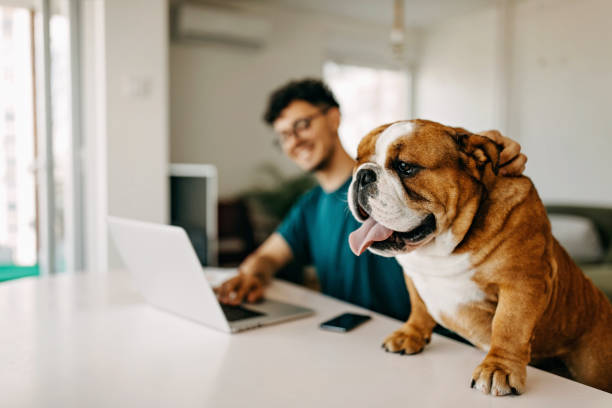 istock Young man working and playing with his dog 1325357560