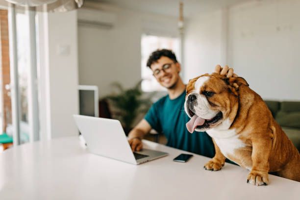 istock Young man working and playing with his dog 1325357572