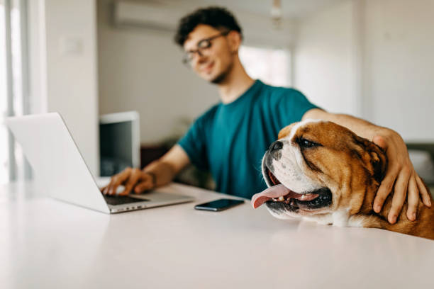 istock Young man working and playing with his dog 1325357576