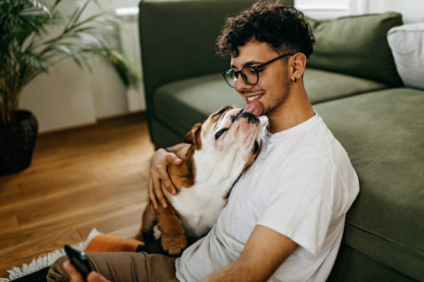 Young man playing with his dog Young man playing with his dog pet owner stock pictures, royalty-free photos & images