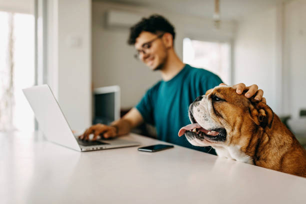 istock Young man working and playing with his dog 1325357594