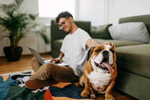 istock Young man working and playing with his dog 1325357623