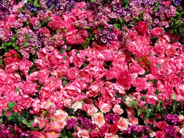 istock Beautiful colorful flowers background 1325366630