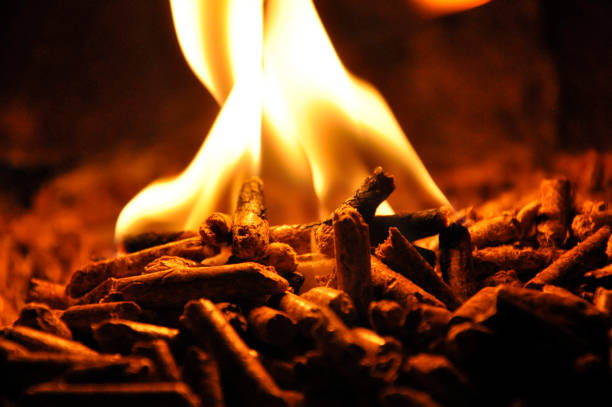 wood pellet biomass