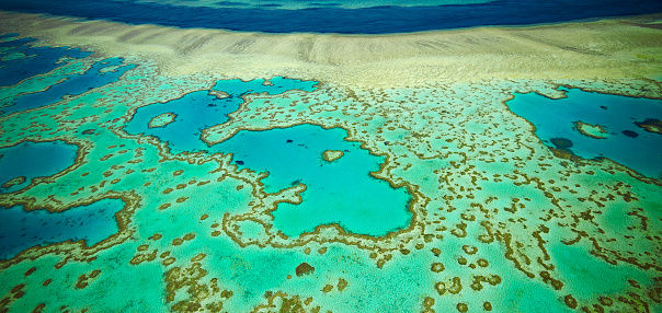 The incredible heart shaped reef forms part of the Great Barrier Reef