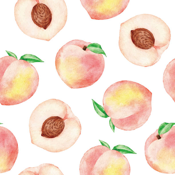 illustrations, cliparts, dessins animés et icônes de aquarelle peaches motif sans couture - nectarine