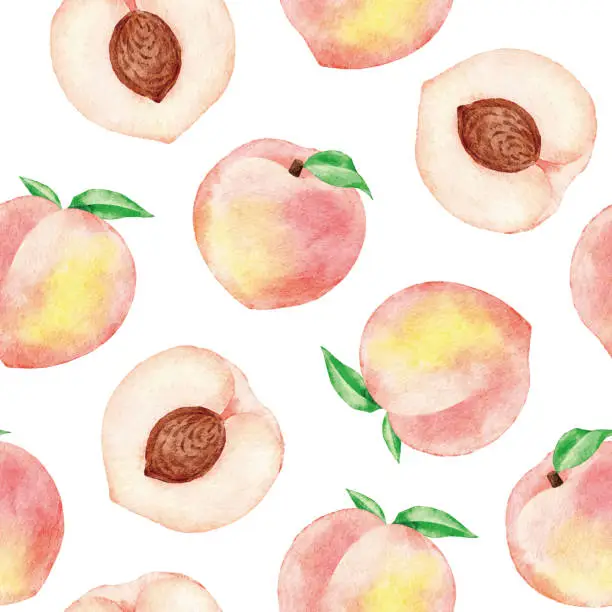 Vector illustration of Watercolor Peaches Seamless Pattern