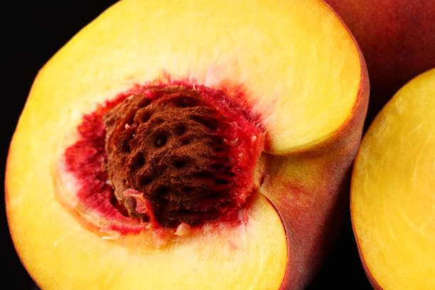 istock Cut peach on a dark background close up 1325370081