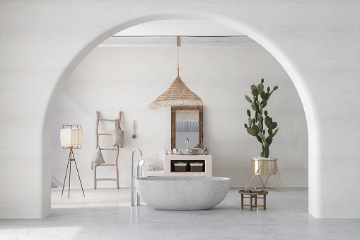 Modern White Bathroom With Bathtub, Cactus Plant, Floor Lamp And Wooden Ladder