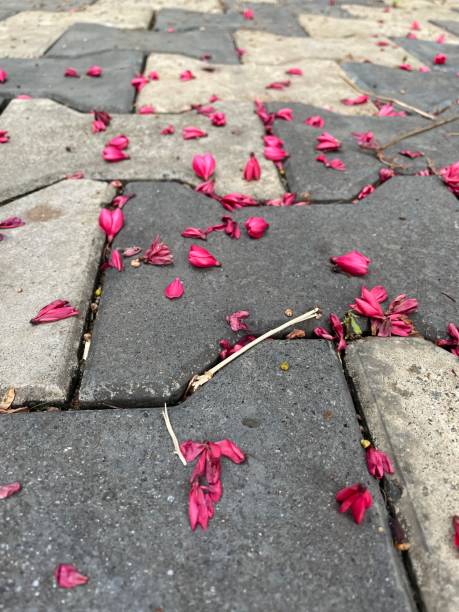 istock Red flowers on the paving block road 1325371626