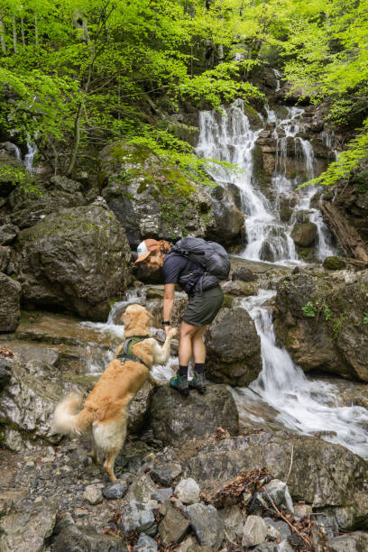 istock Girl hiker with dog 1325371677