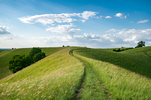 Rural landscape with track through grassy meadow in summertime