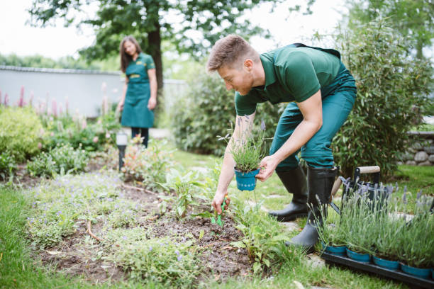 istock Gardeners planting flowers 1325373701
