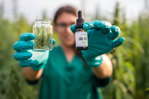 científico sosteniendo botella de aceite de cbd y botella de cannabis medicinal. - narcotic medicine pill insomnia fotografías e imágenes de stock