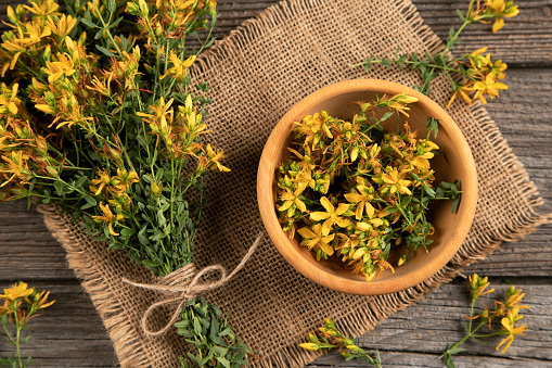 St John's wort on wooden background