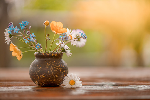 Wildflowers in a Clay Pot against Natural Defocused Background