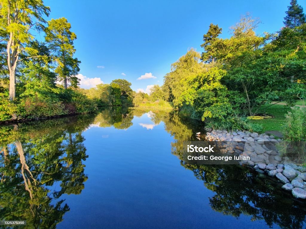 Reflection View Reflection View In The Water Stock Photo - Download Image Now - Color ...