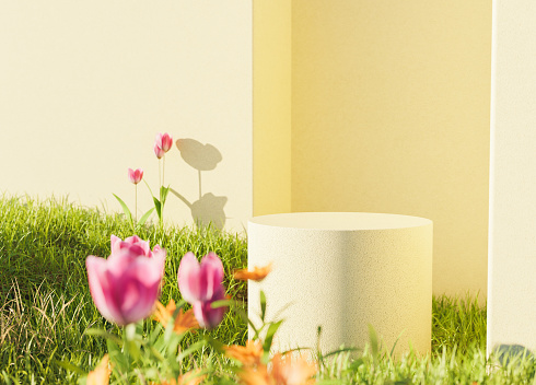 cylinder for product display over garden with tulips and back wall illuminated by the sun. 3d render