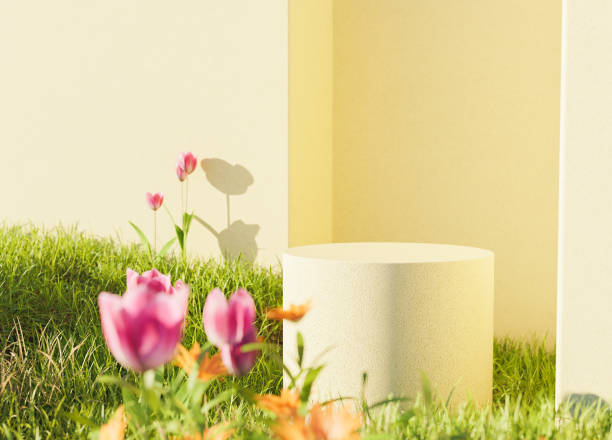 tulip garden podium - wall flower sunny temperate flower imagens e fotografias de stock