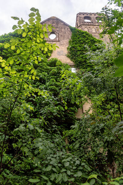 The abandoned Fernbach Castle, also known as Baba Pusta, was built in 1906 by Karol Fernbach for his own needs. Aleksa Santic, Serbia - June 06, 2021: The abandoned Fernbach Castle, also known as Baba Pusta, was built in 1906 by Karol Fernbach for his own needs. pusta stock pictures, royalty-free photos & images