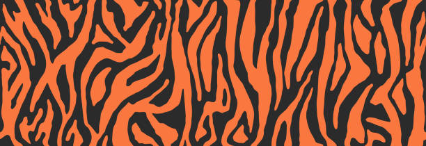 Tiger stripes pattern, animal skin, line background. Wild life wallpaper. Vector seamless texture Animal skin print, seamless texture. Tiger fur, orange stripes pattern. Safari repeating background. Vector bengal tiger pattern stock illustrations