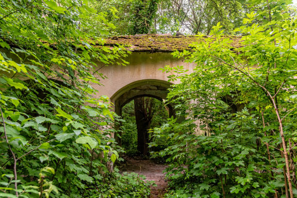 The abandoned Fernbach Castle, also known as Baba Pusta, was built in 1906 by Karol Fernbach for his own needs. Aleksa Santic, Serbia - June 06, 2021: The abandoned Fernbach Castle, also known as Baba Pusta, was built in 1906 by Karol Fernbach for his own needs. pusta stock pictures, royalty-free photos & images