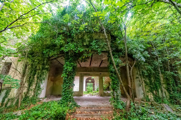The abandoned Fernbach Castle, also known as Baba Pusta, was built in 1906 by Karol Fernbach for his own needs. Aleksa Santic, Serbia - June 06, 2021: The abandoned Fernbach Castle, also known as Baba Pusta, was built in 1906 by Karol Fernbach for his own needs. pusta stock pictures, royalty-free photos & images