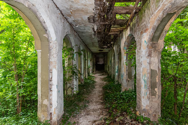The abandoned Fernbach Castle, also known as Baba Pusta, was built in 1906 by Karol Fernbach for his own needs. Aleksa Santic, Serbia - June 06, 2021: The abandoned Fernbach Castle, also known as Baba Pusta, was built in 1906 by Karol Fernbach for his own needs. pusta stock pictures, royalty-free photos & images