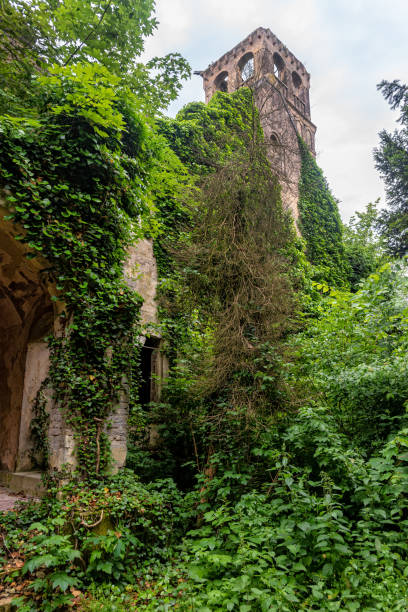 The abandoned Fernbach Castle, also known as Baba Pusta, was built in 1906 by Karol Fernbach for his own needs. Aleksa Santic, Serbia - June 06, 2021: The abandoned Fernbach Castle, also known as Baba Pusta, was built in 1906 by Karol Fernbach for his own needs. pusta stock pictures, royalty-free photos & images