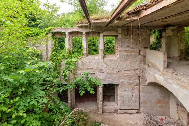 The abandoned Fernbach Castle, also known as Baba Pusta, was built in 1906 by Karol Fernbach for his own needs. Aleksa Santic, Serbia - June 06, 2021: The abandoned Fernbach Castle, also known as Baba Pusta, was built in 1906 by Karol Fernbach for his own needs. pusta stock pictures, royalty-free photos & images