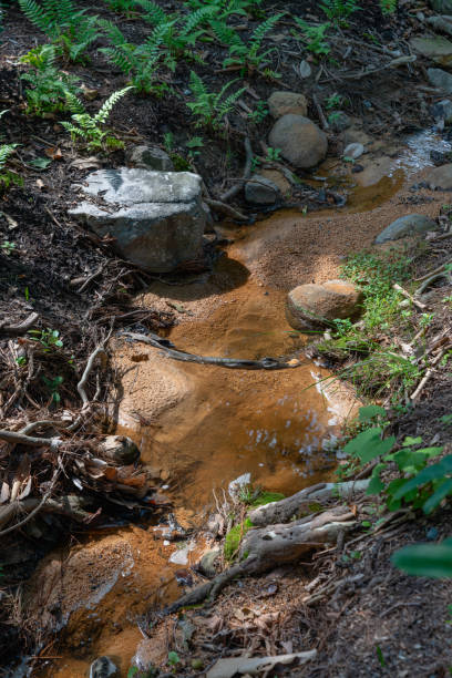 istock Small drying creek in a park with sand 1325382851