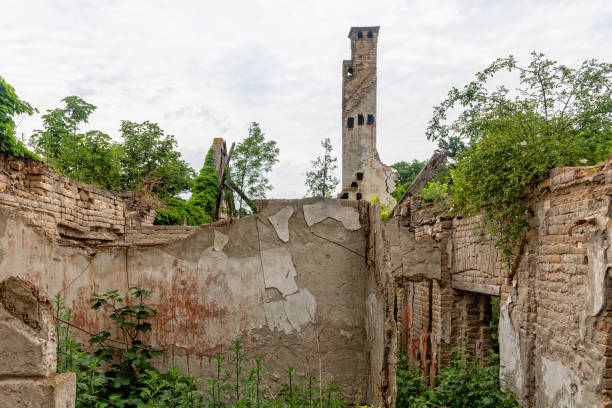 The abandoned Fernbach Castle, also known as Baba Pusta, was built in 1906 by Karol Fernbach for his own needs. Aleksa Santic, Serbia - June 06, 2021: The abandoned Fernbach Castle, also known as Baba Pusta, was built in 1906 by Karol Fernbach for his own needs. pusta stock pictures, royalty-free photos & images