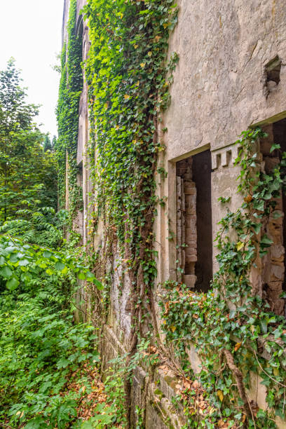 The abandoned Fernbach Castle, also known as Baba Pusta, was built in 1906 by Karol Fernbach for his own needs. Aleksa Santic, Serbia - June 06, 2021: The abandoned Fernbach Castle, also known as Baba Pusta, was built in 1906 by Karol Fernbach for his own needs. pusta stock pictures, royalty-free photos & images
