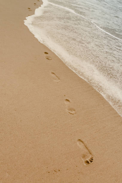 istock Small waves on sandy beach on Atlantic ocean coast 1325383115