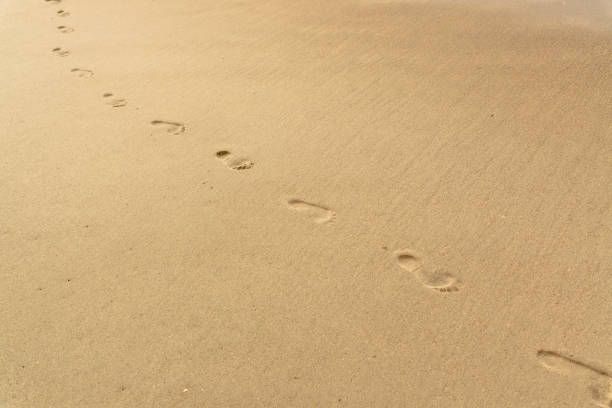 Sandy beach on Atlantic ocean coast with a chain of footsteps in a sunny summer day