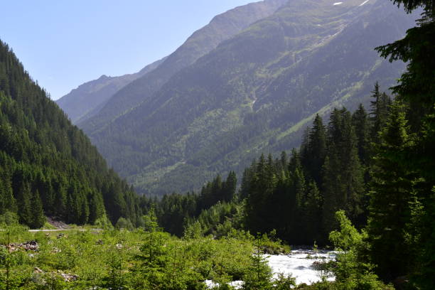 istock Beautiful landscape in Stubai valley 1325384625