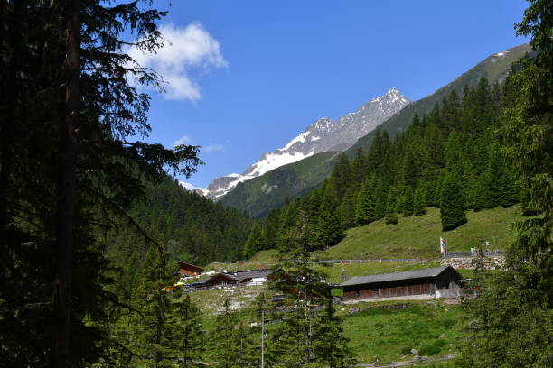 istock Beautiful landscape in Stubai valley 1325385323