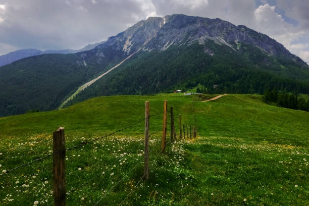 istock fence on a green meadow while hiking to a high mountain 1325385371