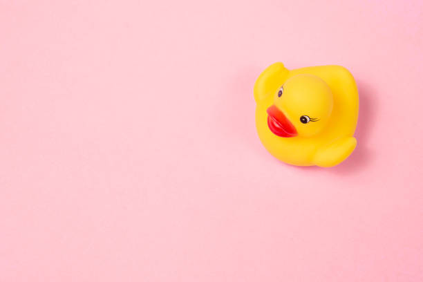 Rubber duck on the pink background.