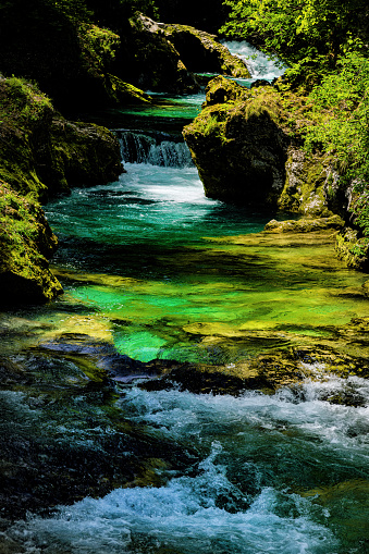 River in Vintgar Canyon, a 1.6 kilometre long canyon carved by the Radovna River in Slovenia