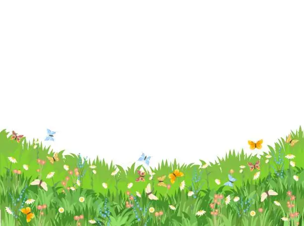 Vector illustration of Meadow with wildflowers and butterflies. Illustration. Grass close-up. Beautiful green landscape. Isolated. Cartoon style. Flat design. Flowers. Vector art